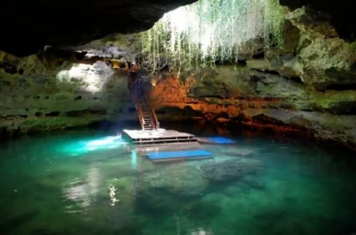 Tampa Bay Day Trips Tampa florida