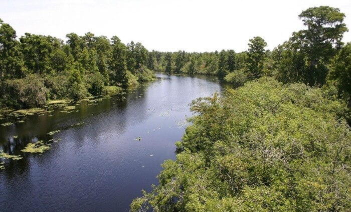 Lettuce Lake Park