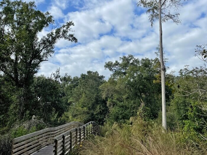 Rocky Creek Trails Nature Preserve Tampa