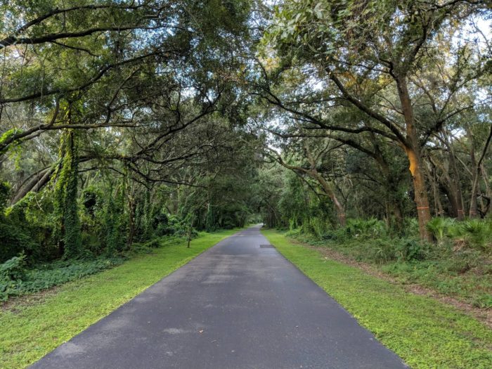 Upper Tampa Bay Trail Trail Tampa